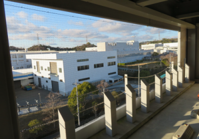 image0施設ハト除けネット施工0