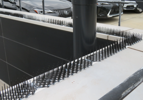 image0施設ハト除けネット施工1