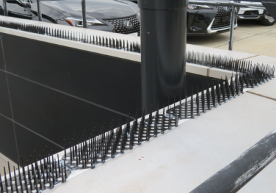 image0施設ハト除けネット施工1