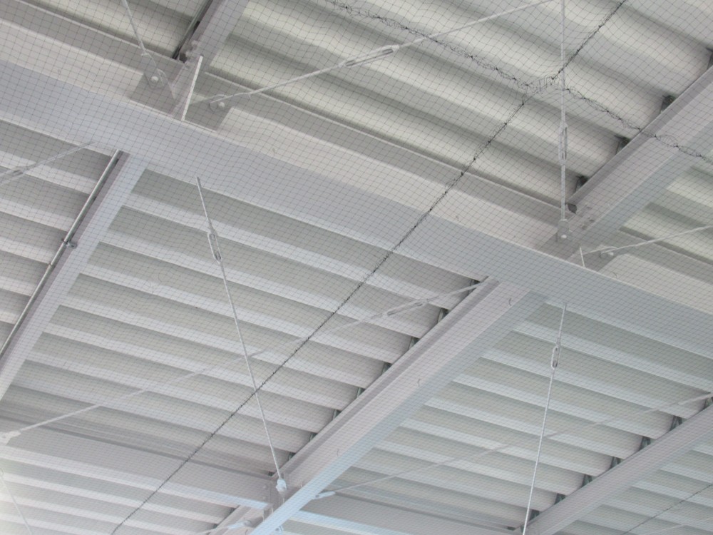 image0施設ハト除けネット施工3